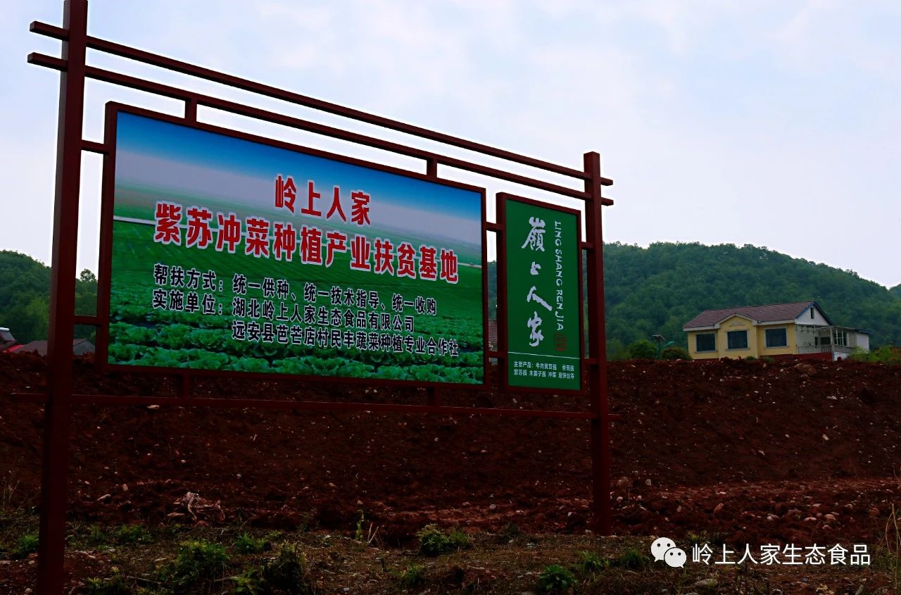 一場(chǎng)重要的簽約儀式在芭芒店舉行