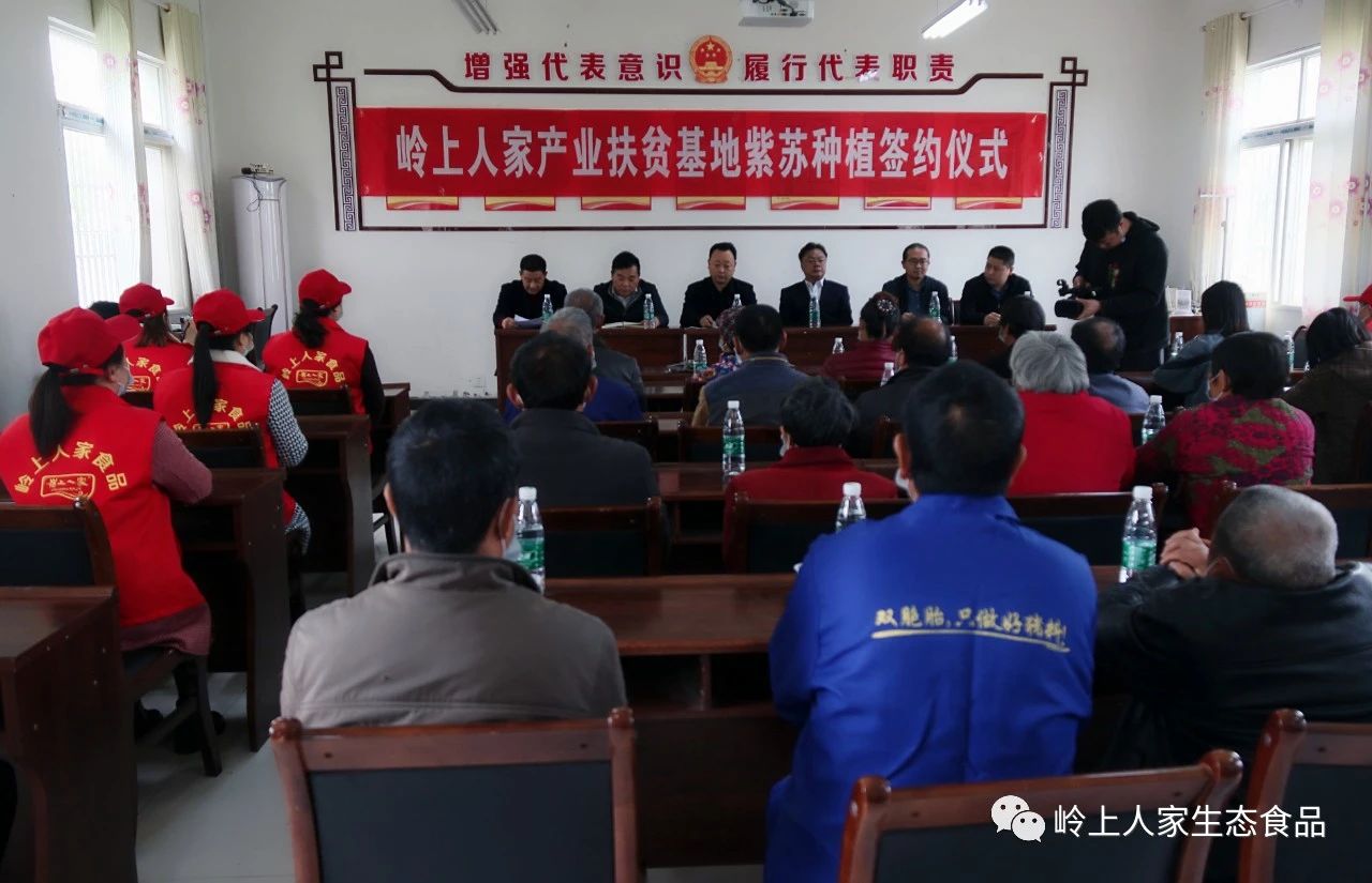 一場(chǎng)重要的簽約儀式在芭芒店舉行