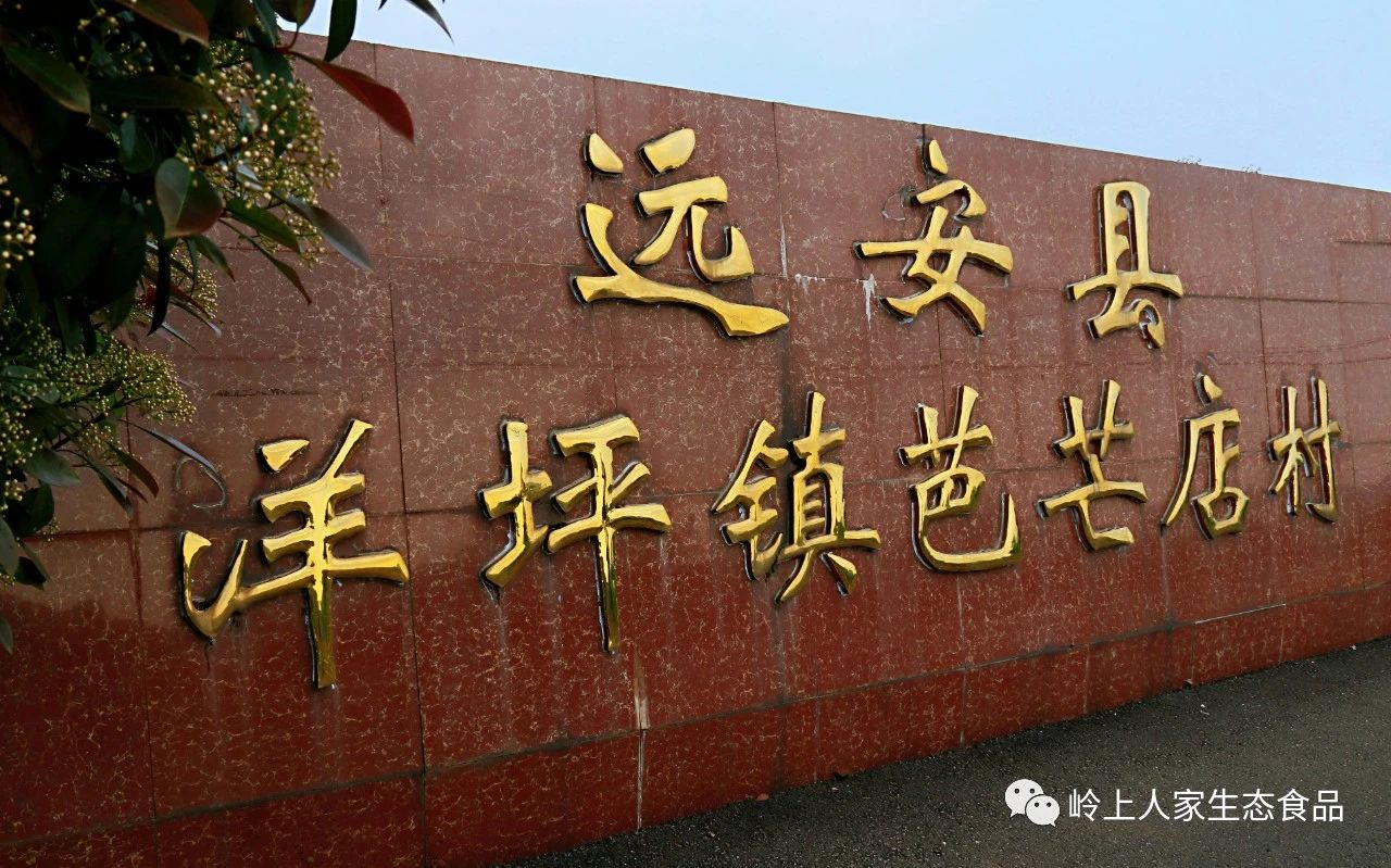 一場(chǎng)重要的簽約儀式在芭芒店舉行
