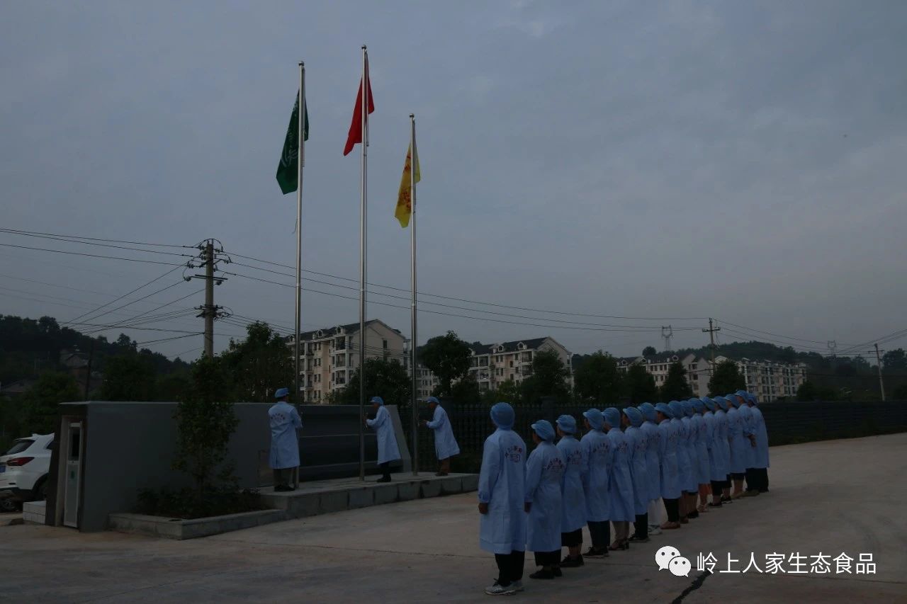 嶺上人家舉行七一主題升旗儀式