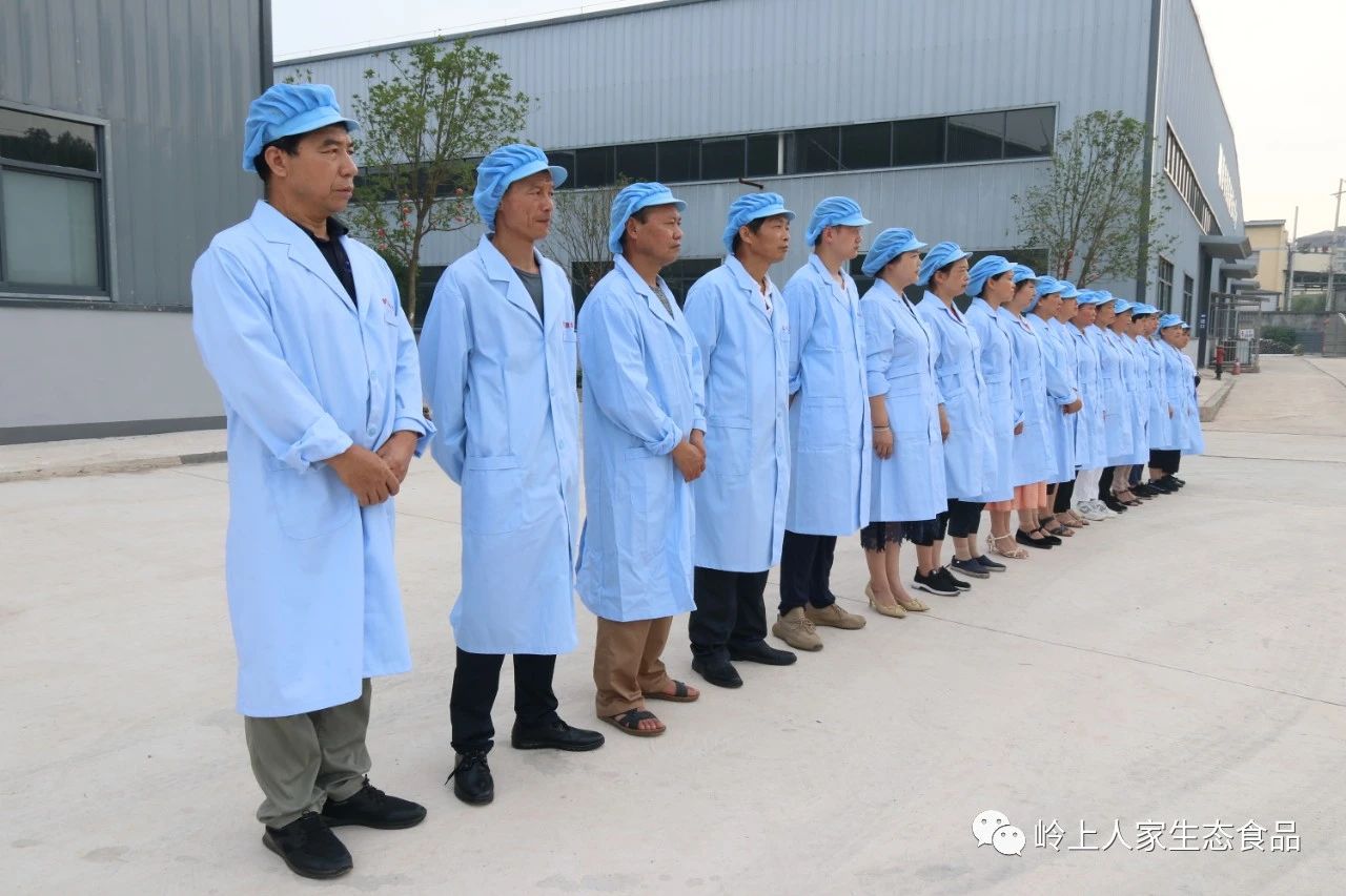嶺上人家舉行七一主題升旗儀式
